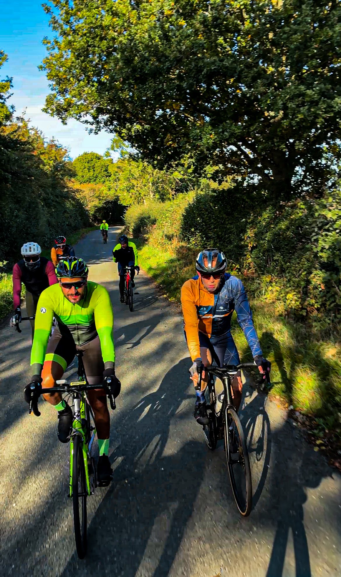 Cyclists climbing a leafy lane